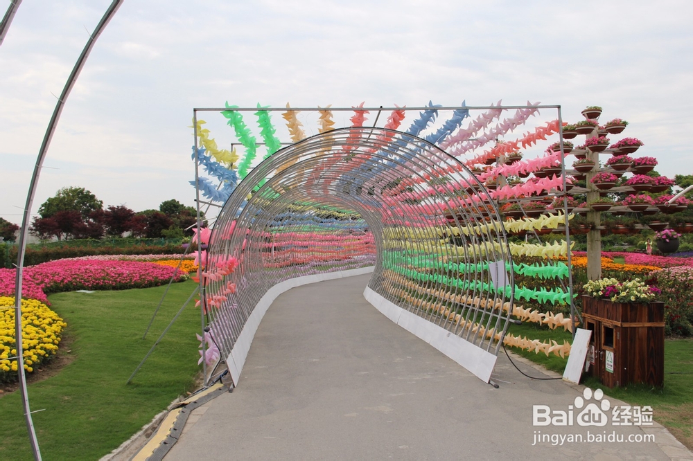 上海旅游攻略之周浦花海