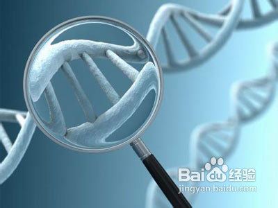 晚婚女性想怀孕必做检查项目