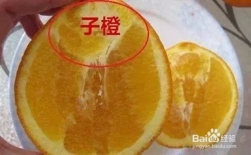 选购水果时要注意什么?
