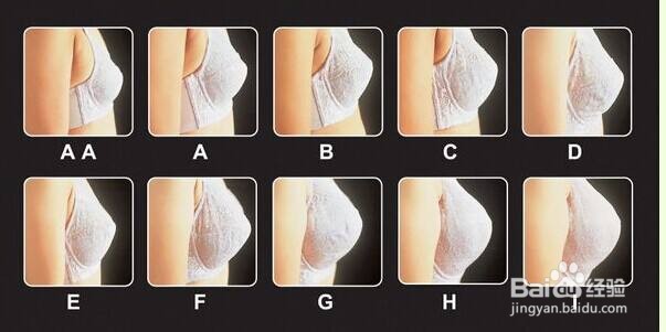 内衣尺码如何去选择