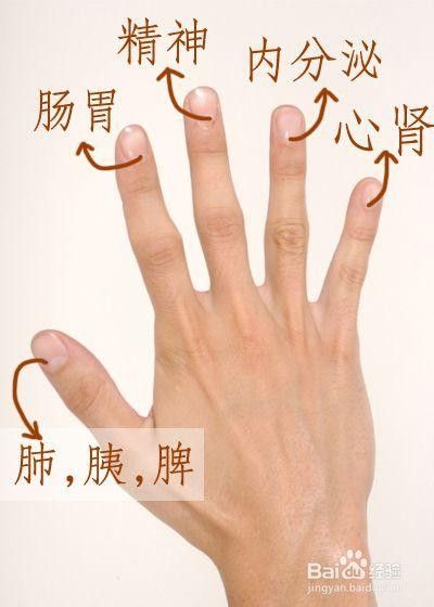 如何从手指的半月痕看健康