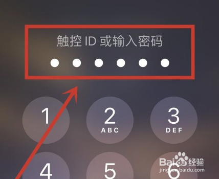 苹果手机打开旁白关闭网络怎么办?