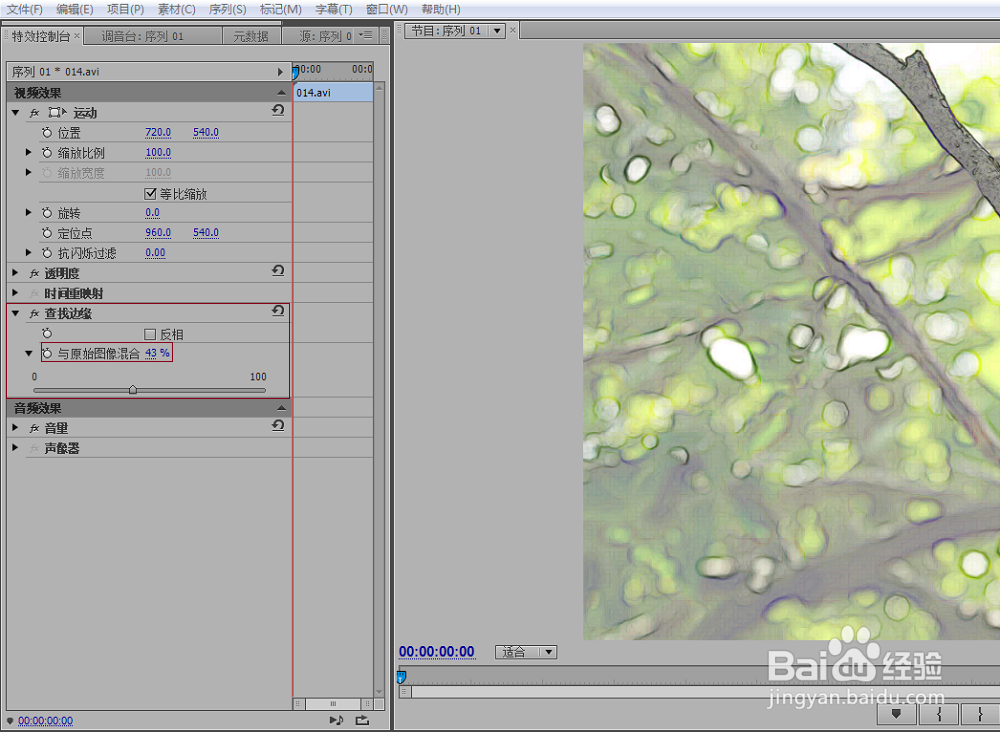 通过查找边缘效果创造油画视频效果premiere
