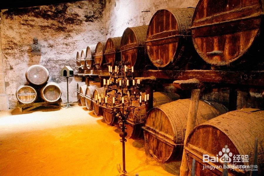 葡萄酒鉴赏之闻香