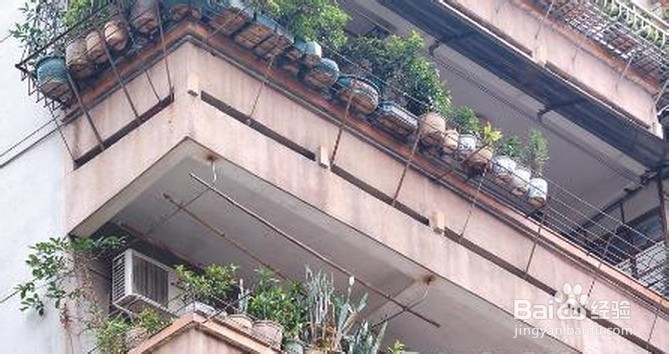 台风过境城市时街道行人交通安全注意事项