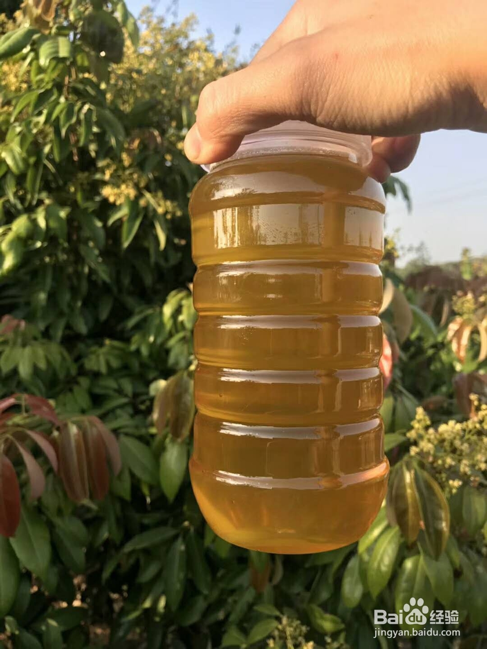 教你解决便秘的小秘方，非常管用。