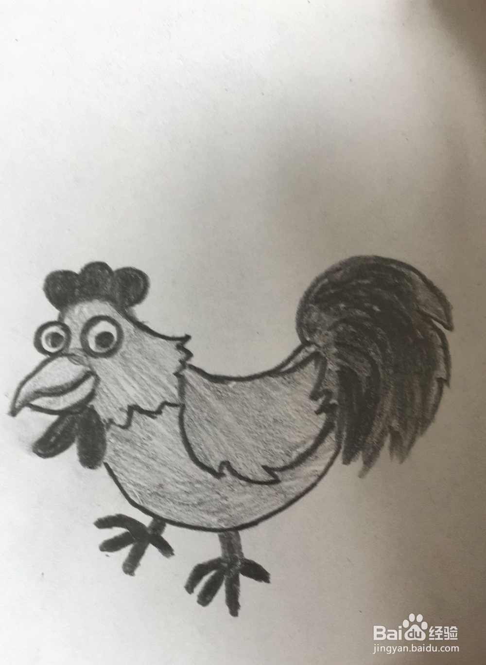 怎样画好一只公鸡