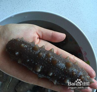 发海参的正确方法