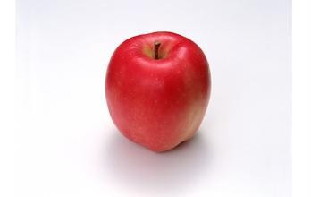 冬天最好吃什么水果