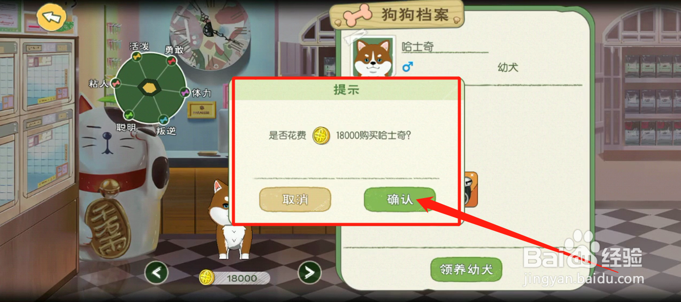 如何领养哈士奇