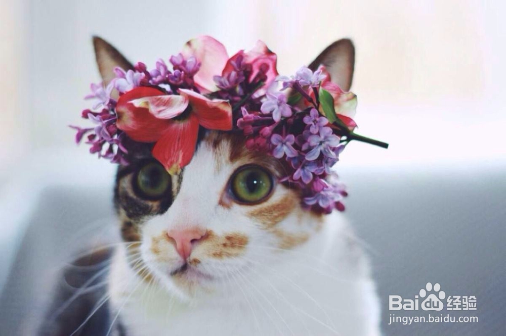 怎么过得轻松？