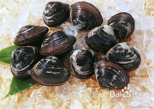 养生 七类丰胸营养食物让你拥有傲人双峰