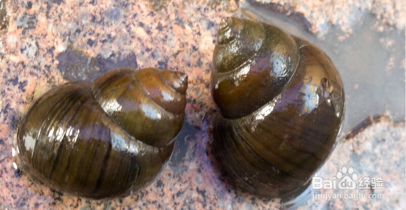 如何祛除狐臭?民间小妙招有没有用