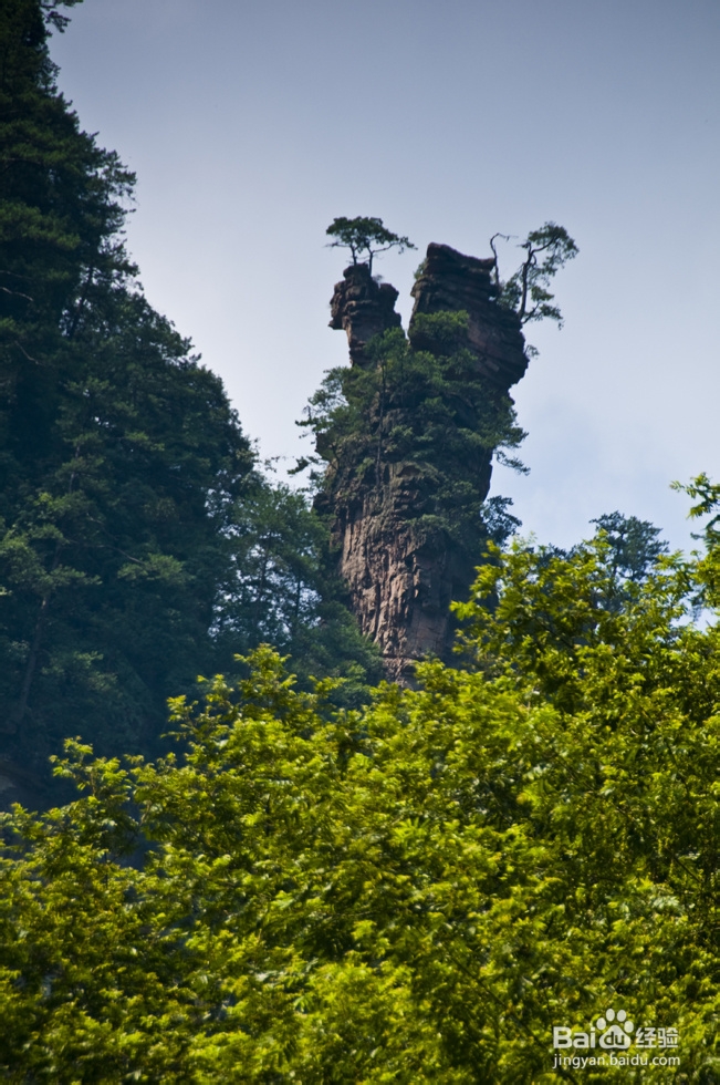 张家界自助游旅店