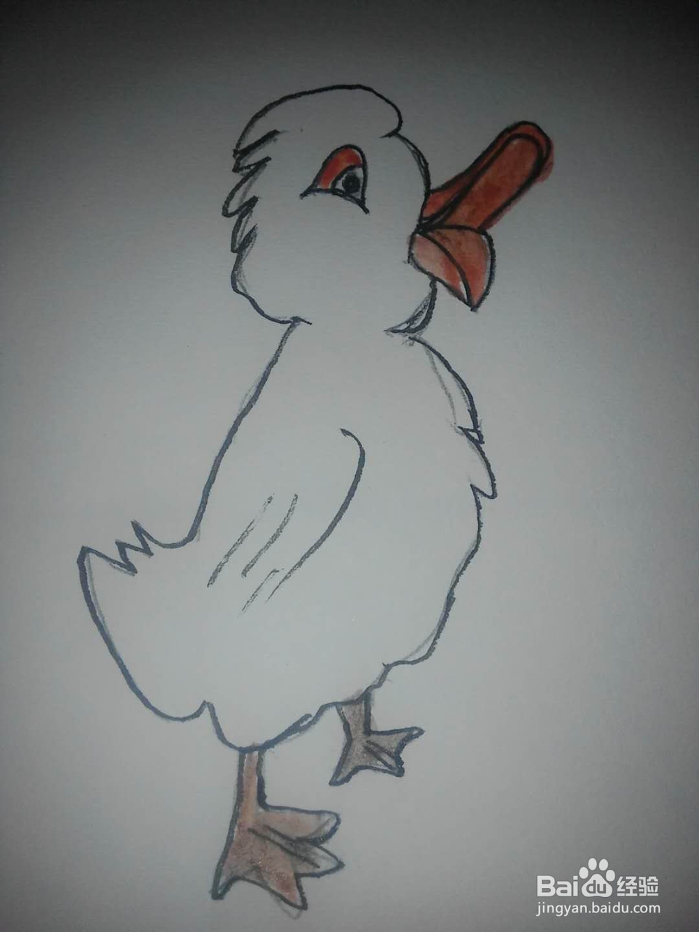 鸭子的卡通画法