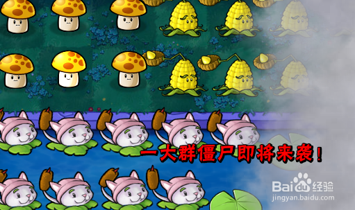 植物大战僵尸生存模式浓雾困难第三轮