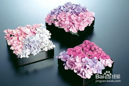 想自己创业做什么好