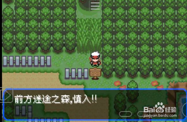 究极绿宝石5迷途之森怎么走