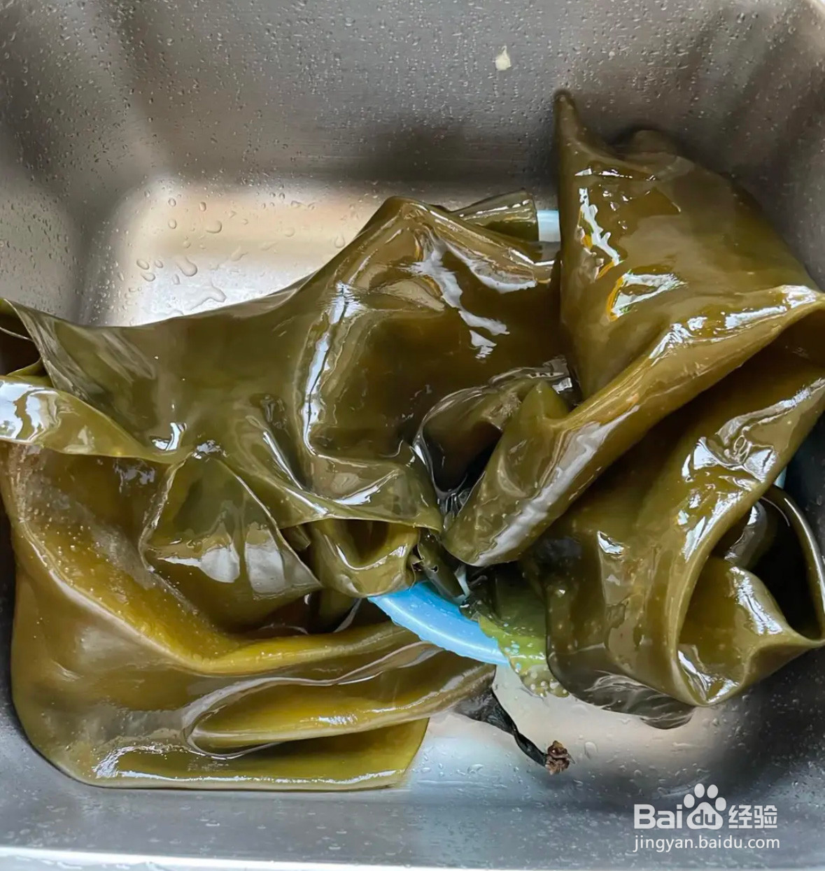 如何制作凉拌海带