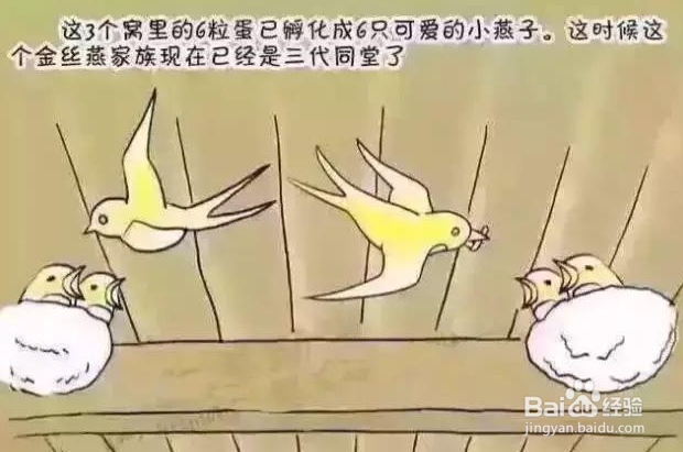 燕窝含有激素吗