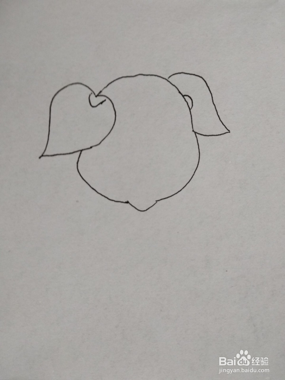 猪年开心小猪简笔画方法