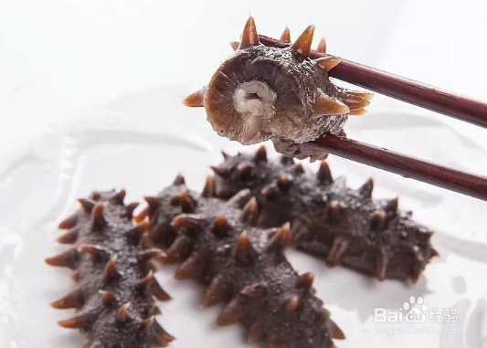 夏季一天吃多少海参合适，科学合理搭配是关键