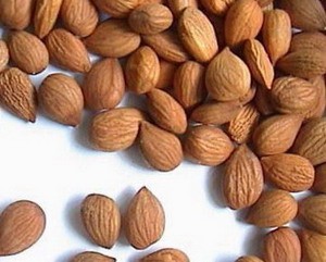 怎样利用普通植物美白祛斑