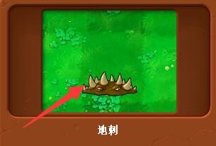 植物大战僵尸地刺有什么特性