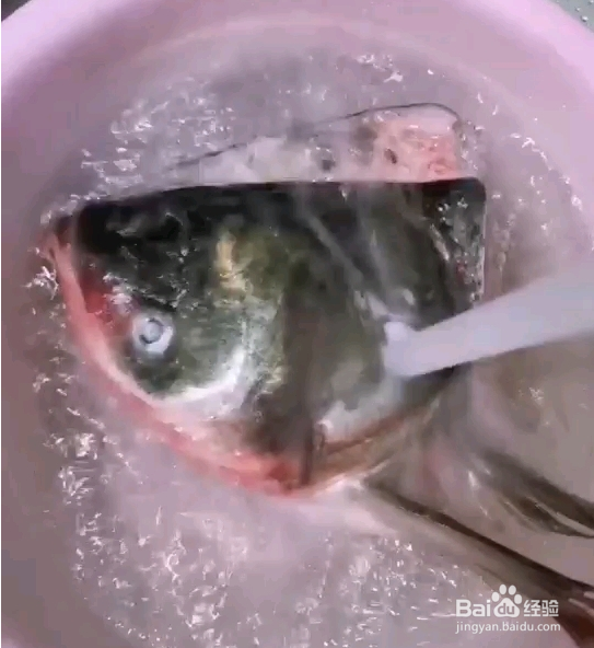 爽辣剁椒鱼头