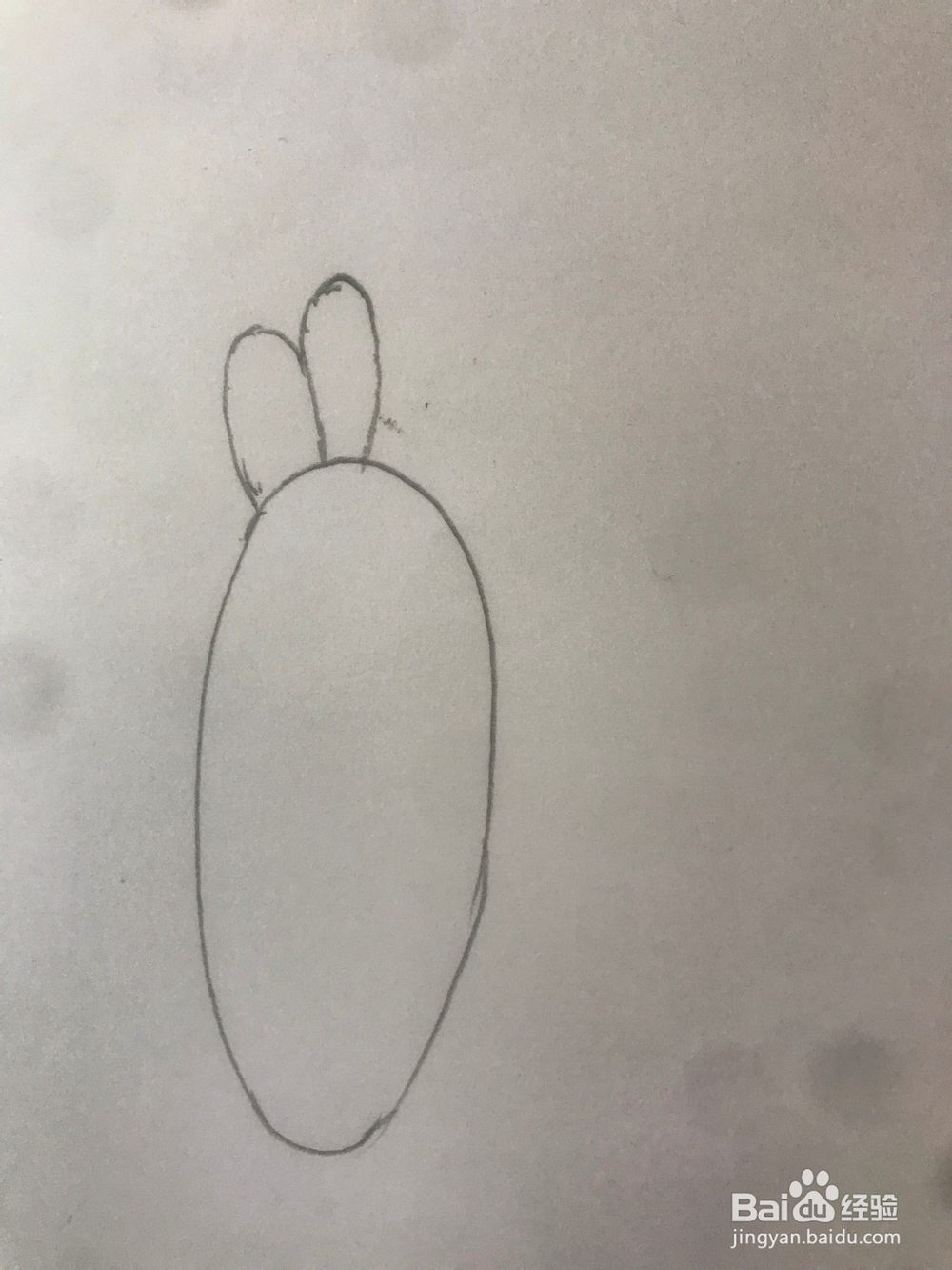 小猪佩琪里的鹦鹉波利如何画