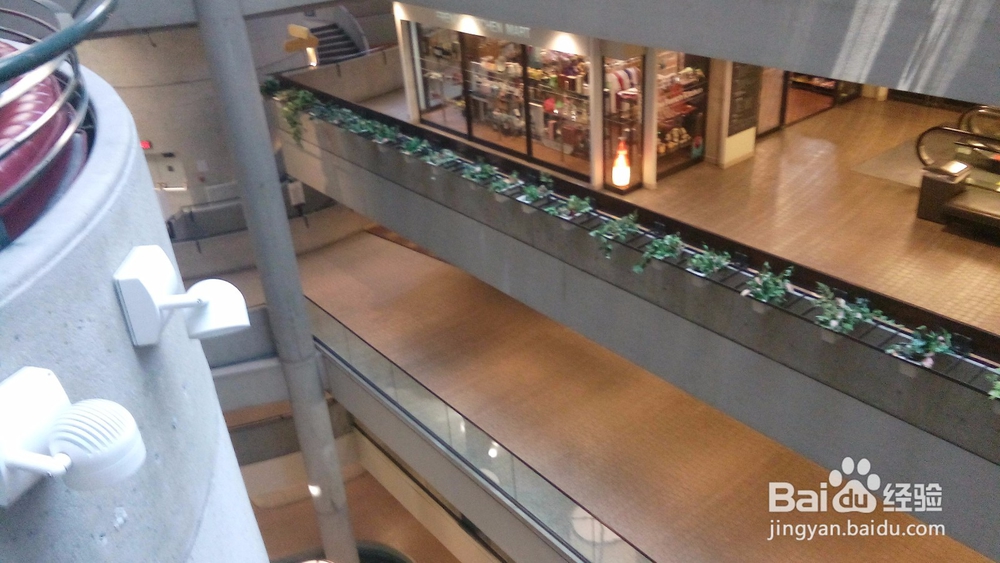 洛杉矶旅游详细花费