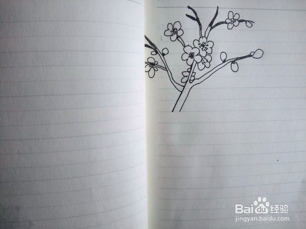 简笔画梅花的画法