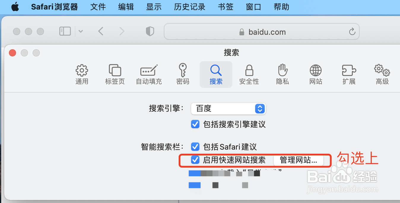 Safari怎么启用快速网站搜索功能