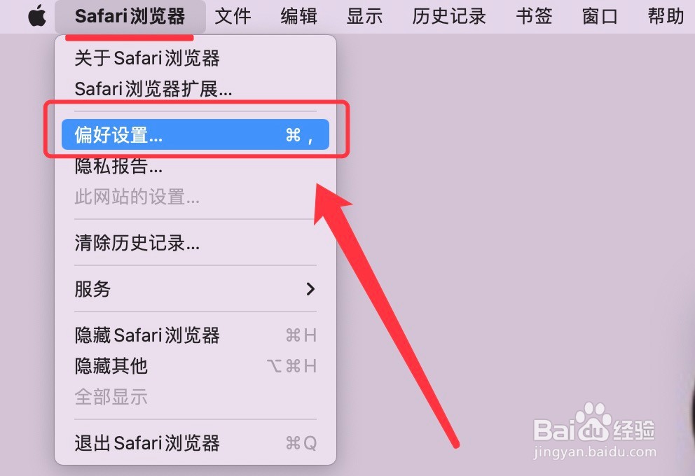 Safari浏览器主页的设置方法