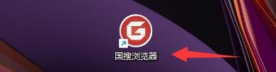 国搜浏览器如何设置检查服务器证书吊销状态