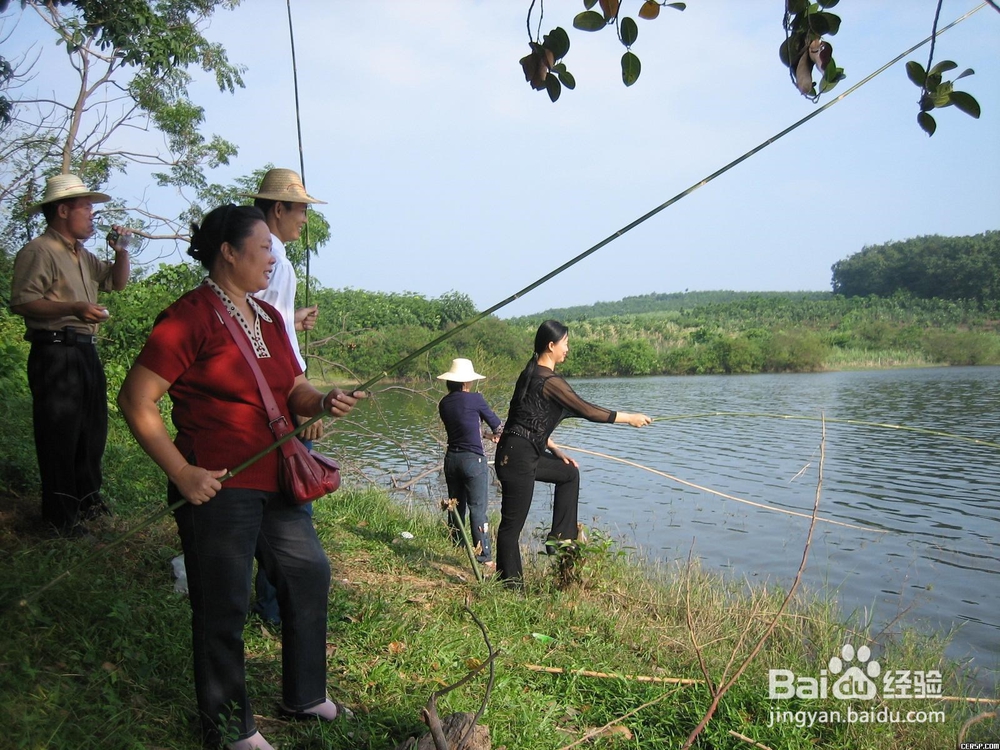 早春钓鲫鱼的技巧