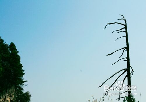 张家界三日游攻略