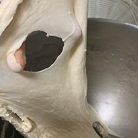 在家制作美味的奶油卷