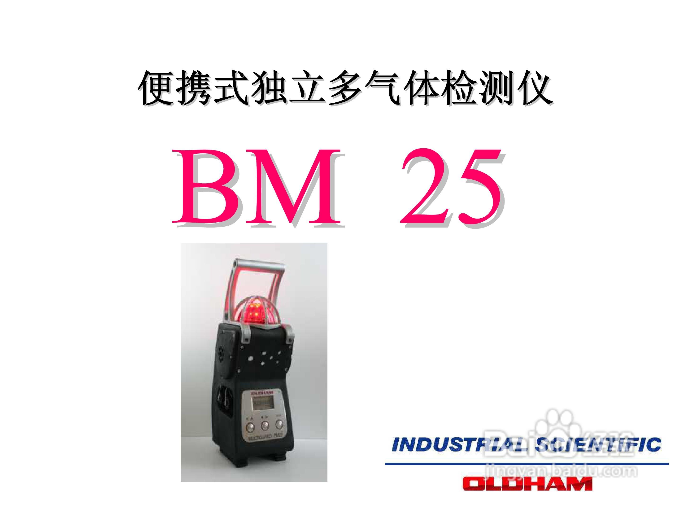 BM25便携式独立多气体检测仪说明书:[1]