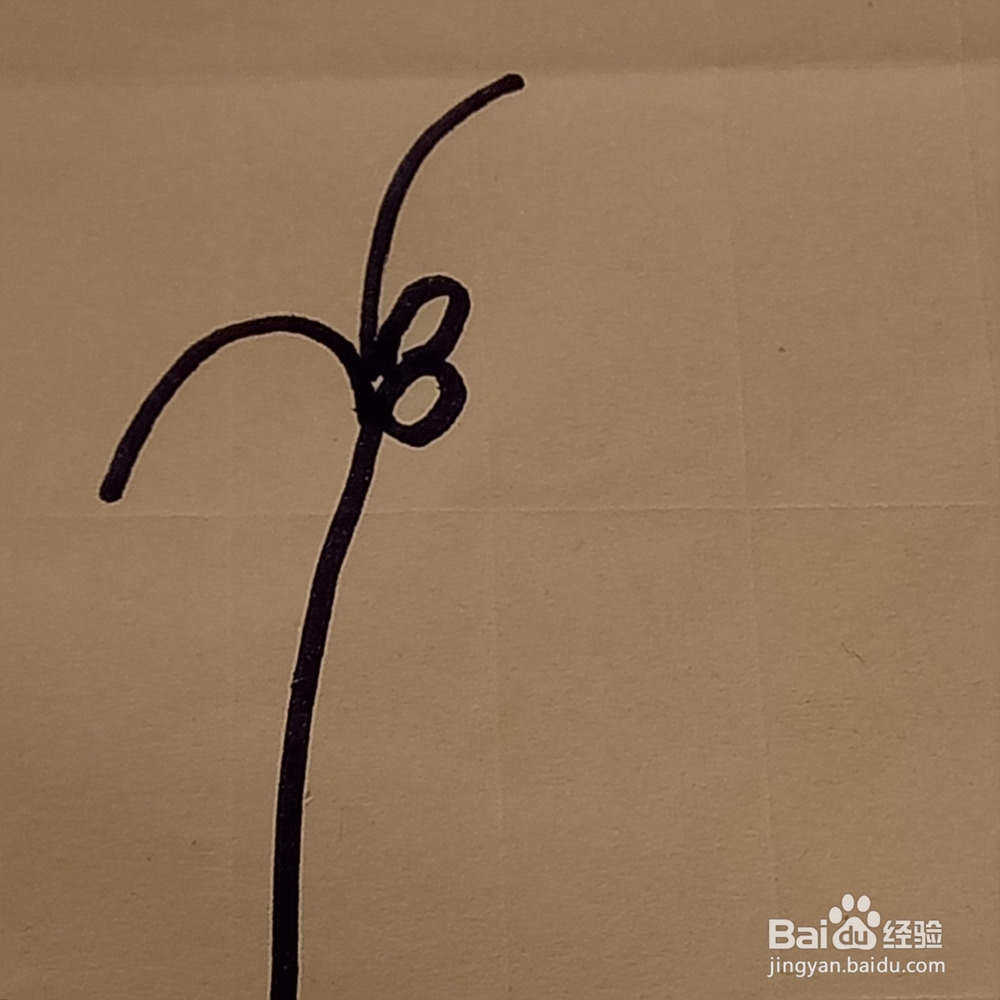 海边的椰子树幼儿线条简单绘画