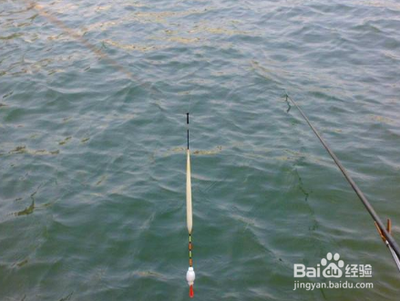 钓鱼必备知识《抛竿篇》