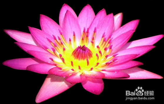 南城百货公司面临的财务风险