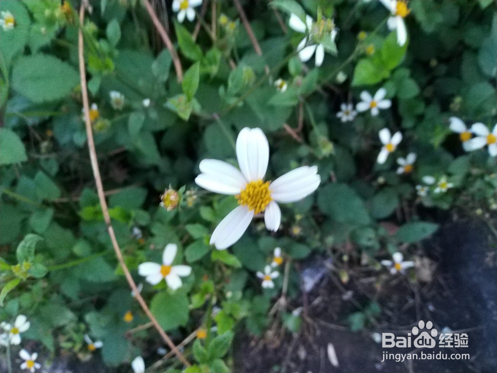 工程施工过程中卷材搭接应符合哪些设计规定？