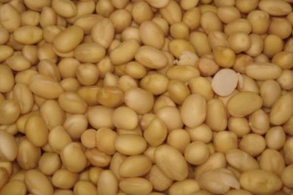 如何能制作出嫩滑又有弹性的豆腐