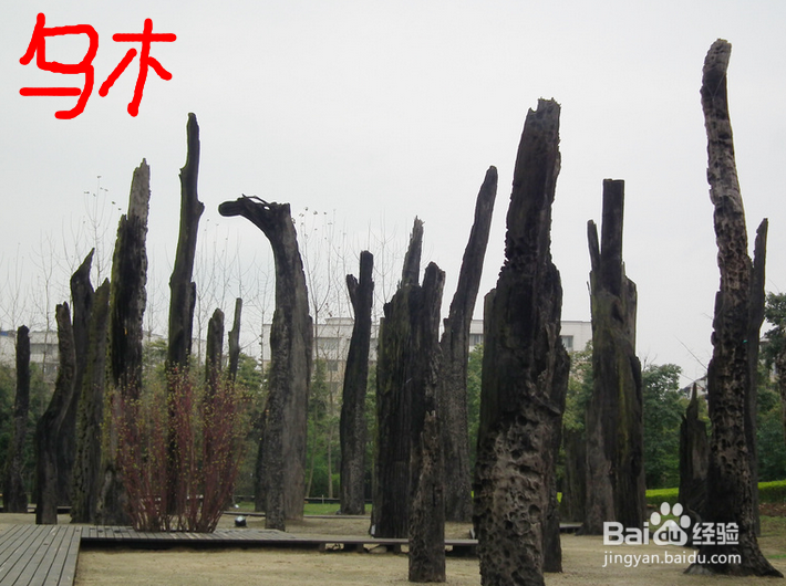 千年乌木有什么价值,人工如何加工