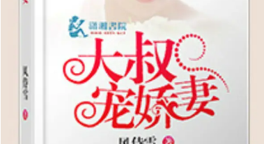 女主角叫苏暖暖有六个哥哥的小说叫什么名字