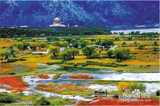 领略川藏线上的美丽风景