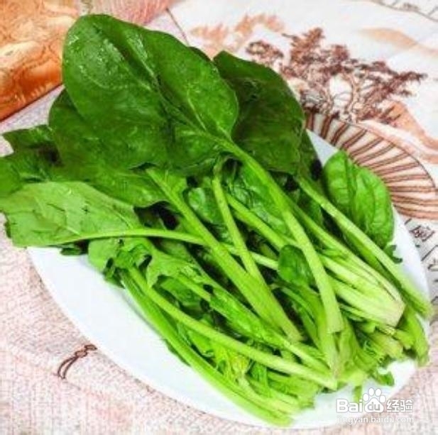 女士健美双腿应该吃什么