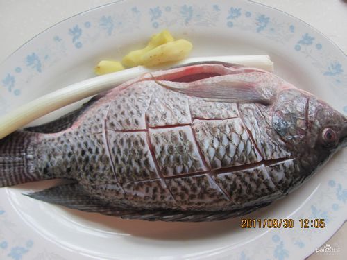 红烧罗非鱼