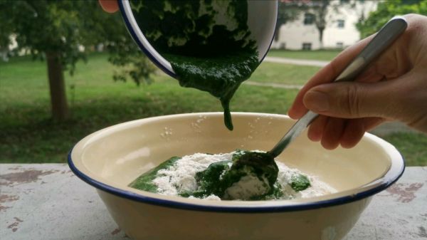 #美食视频挑战赛# 菠菜蔓越莓馒头